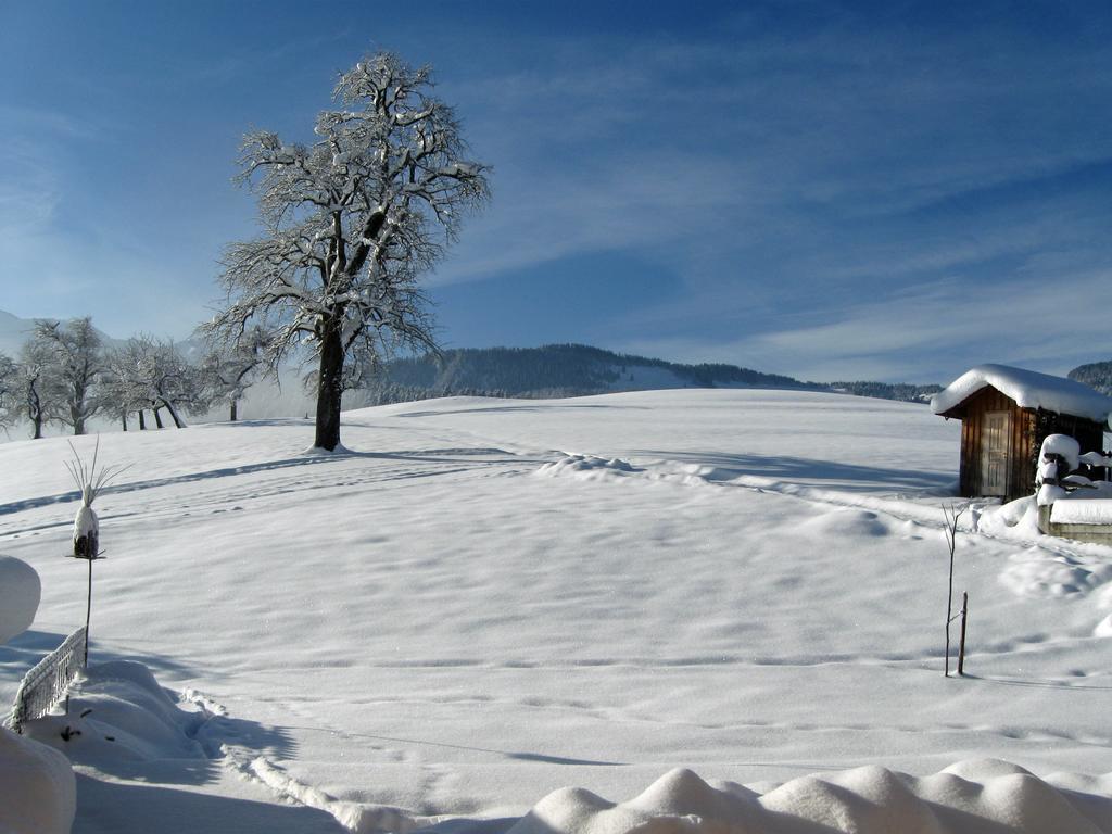 Schweizer Hof Villa Schwarzenberg im Bregenzerwald Eksteriør bilde