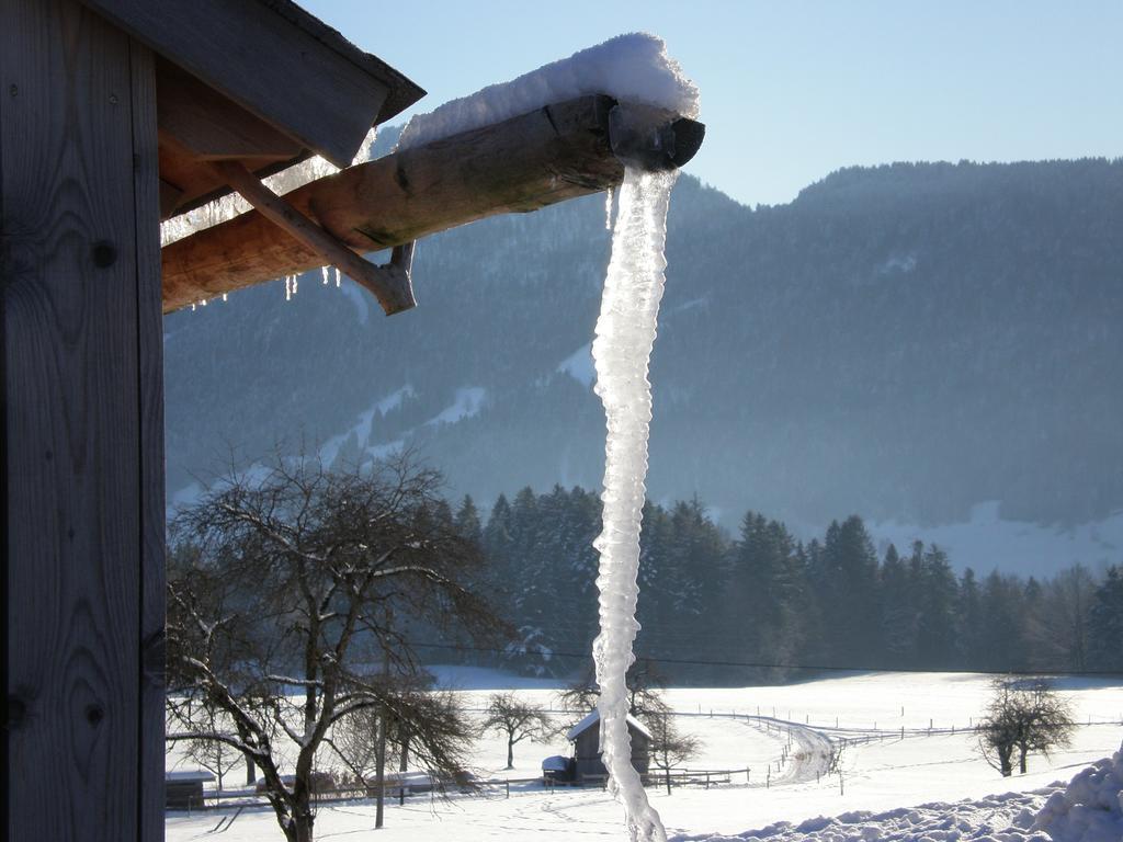 Schweizer Hof Villa Schwarzenberg im Bregenzerwald Eksteriør bilde