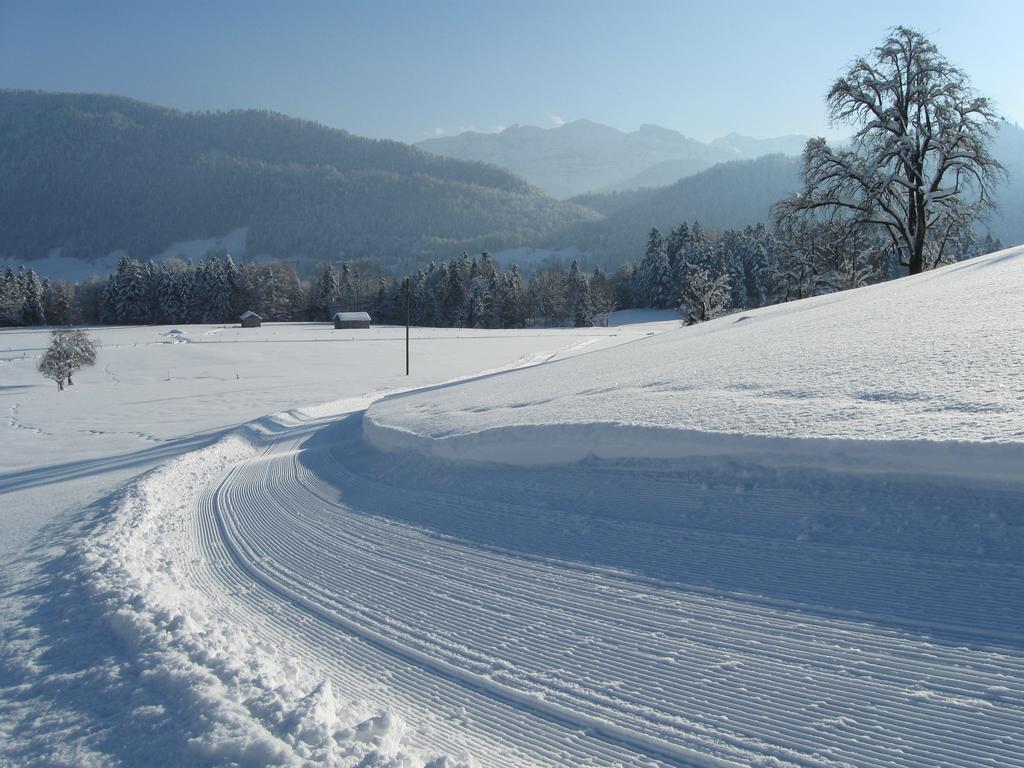 Schweizer Hof Villa Schwarzenberg im Bregenzerwald Eksteriør bilde